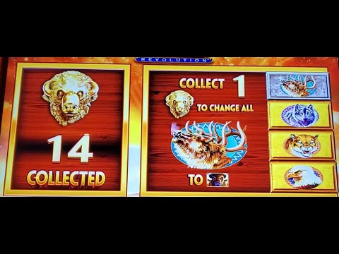 $37.50 Bets! 2 Jackpots! 14 Gold Heads for Mrs. Bonus Time! #buffalogold #hugewin #massivewin