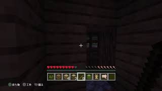 ［マインクラフト］まったり雑談マイクラ！！　(祝)令和！　　初見&常連さん誰でも歓迎！！