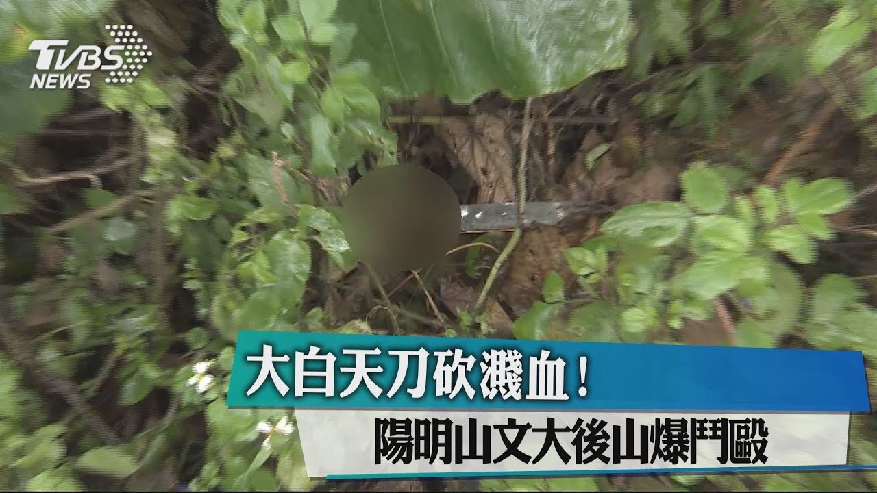 大白天刀砍濺血! 陽明山文大後山爆鬥毆