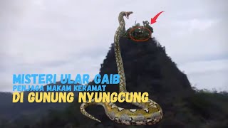 Download lagu Sosok ular besar penunggu makam keramat di puncak gunung nyungcung mp3 Download lagu Sosok ular besar penunggu makam keramat di puncak gunung nyungcung mp3