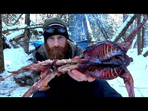 <h1 class=title>Solo Overnight Winter Survival, Tarp, Knife, Rope | ASMR (Silent)</h1>