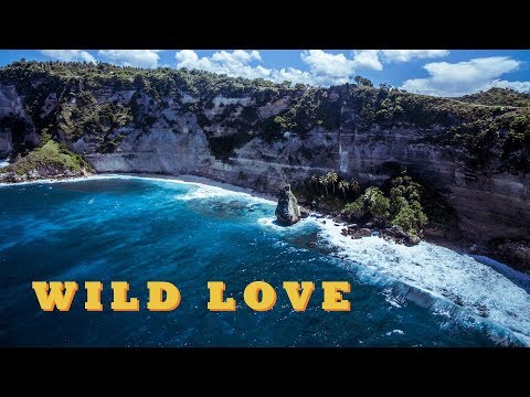 Video thumbnail for Дикая любовь (Wild Love)