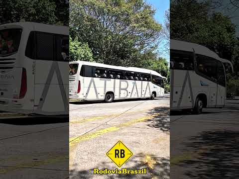 Viação Atibaia X Viação Cometa no Tietê #shorts #rodoviabraszil #saopaulo #bus #viajar