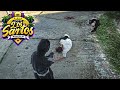 City Of Los Santos On Demon Time Part 13 GTA RP
