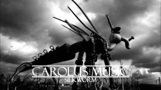 Silkworm (Original Song)