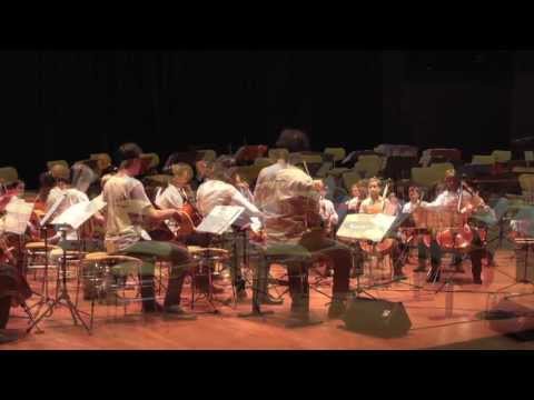 Celloversum 2013 Querschnitt