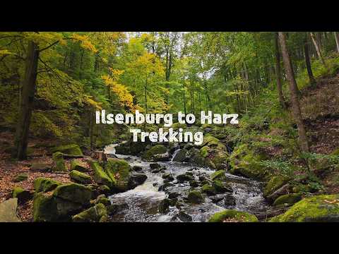 Beautiful German village Ilsenburg Harz | 4K Virtual Hike Near River through the Forest