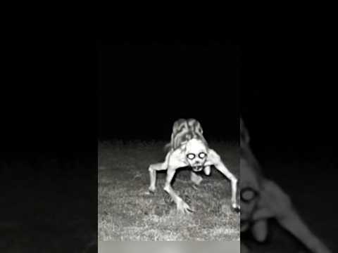 The Rake is Real and It Attacked in North Carolina 😱 #shorts