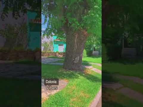#music #travel #nature #paseando #viral #colonia #uruguay #estres #paysandu