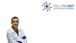 CELLTROVET primeira empresa de terapia com células tronco aplicada a veterinária na América Latina