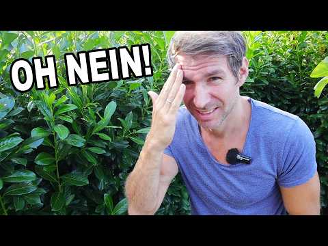 Was mein GRÖßTER Fehler im Garten war!