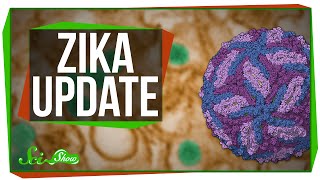 Another Zika Update & Quantum Physics Gamers
