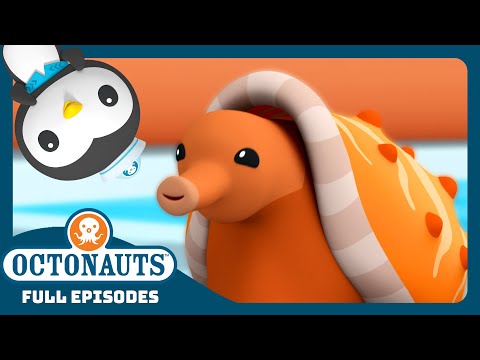 @Octonauts - 😱 The Venomous Cone Snail 🐌 | Season 3 | Full Episodes | Cartoons for Kids