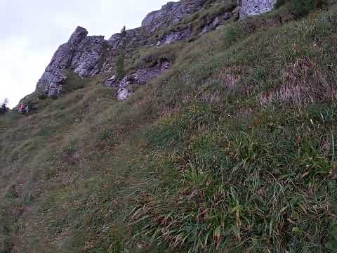 BRAUL MARE AL MORARULUI DIN BUCEGI,PARTEA DE VEST