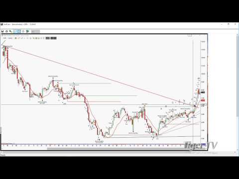 December 21st Trader's Edge with Steve Rhodes on TFNN - 2016 1