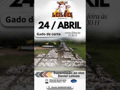 Fazenda Nova - GO   24/04/2026