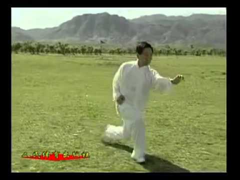 Xingyi Wu Xing Quan - (Five Elements Fists).Master Di Guo-Yong.(240p_H.264-AAC)