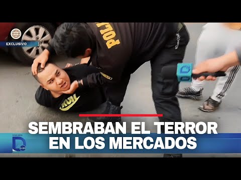 "New Year's muggers" arrested after robbing shopkeepers