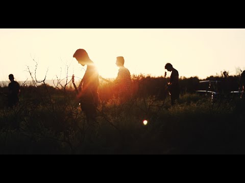 Michael Kobrin - Animal (Official Video)