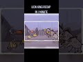 Lion King Recap In 1 Minute