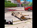 VACA Produces PANIC In The City