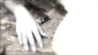 Night Moves- "Denise, Don't Wanna See You Cry" [HD]