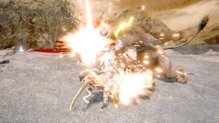 MR前に少し整えたい:) 【MHR:SB Steam版】