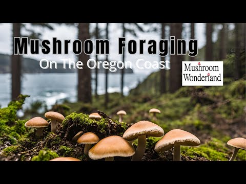 Mushroom Foraging on the Oregon Coast - Spring 2024