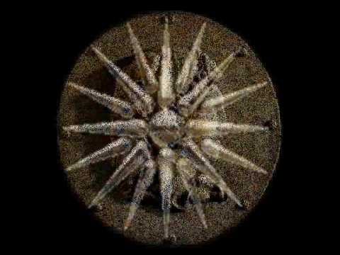 Sarissa - Turn The Power Up (1987)