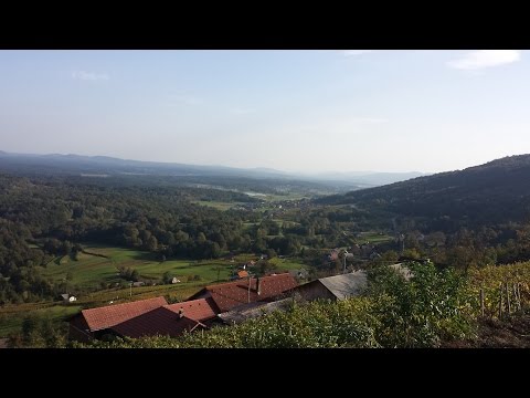 Bela krajina - tu sem doma