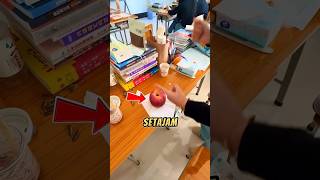 Download lagu membela jambu dengan jari🤣 mp3