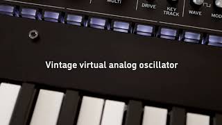 Video thumbnail for KORG Dense by Sinevibes - promo video by Sinevibes