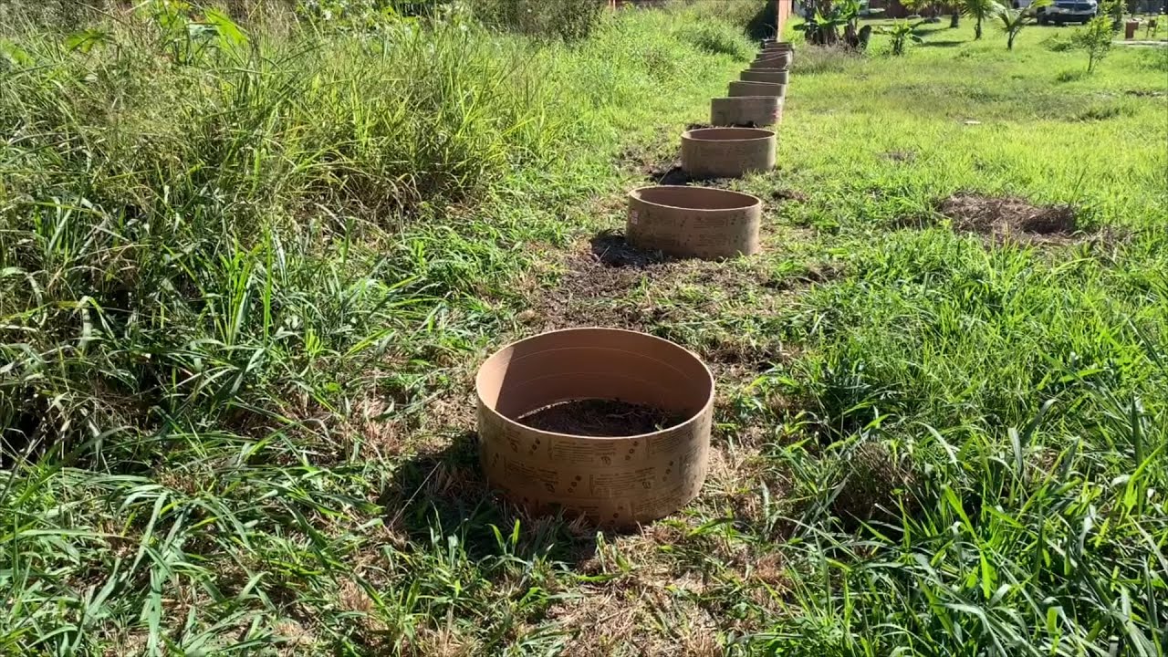 Forma de papelão para sapata de muro