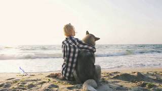 Schiller with Kate Havnevik - Don't Go
