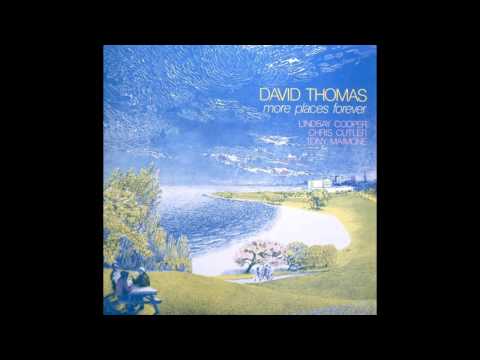 David Thomas and the Pedestrians - Enthusiastic