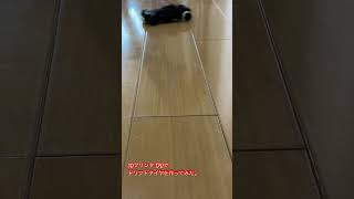 TPU製のドリフトタイヤ（ファーストミニッツ）