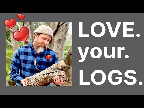 Leveraging your logs with OpenTelemetry