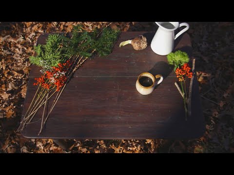 Thumbnail for Amaryllis video