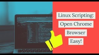 Write a simple Linux bash script to open Chrome
