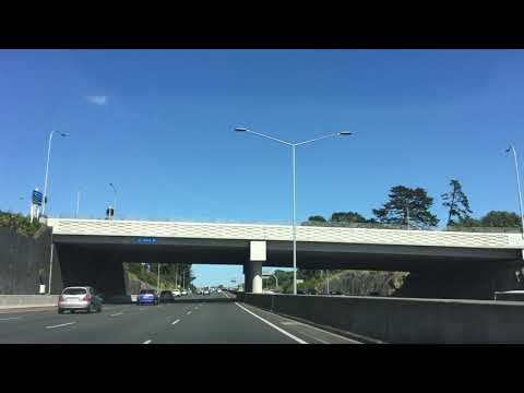 Part 1, Joy Ride - 28 Nov 2020, Saturday: Parnell to Countdown @ Lincoln Rd via Birdwood Crescent,