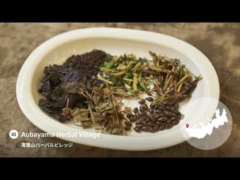 TSURUGA WAKASA ーFUKUIー