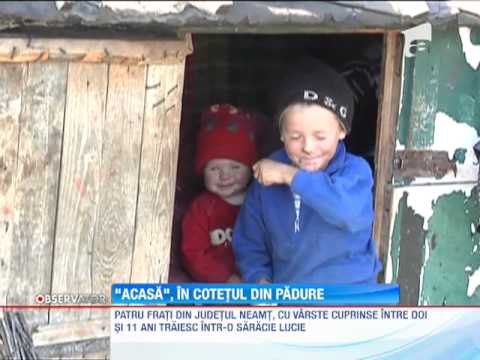 Patru copii din judetul Neamt traiesc in cotetul din padure
