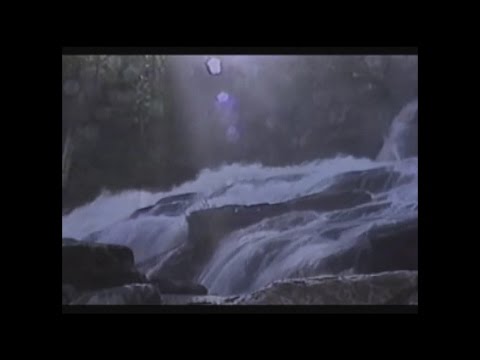 We have seen and testify (eyewitnesses of William Branham ministry) - Multi-Testimony Video, Salvation / Converts, Testimonies - Biblijski krscani