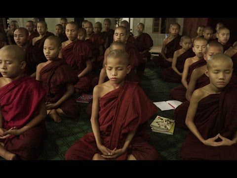 Thumbnail of the video: 'The Venerable W.' first English trailer