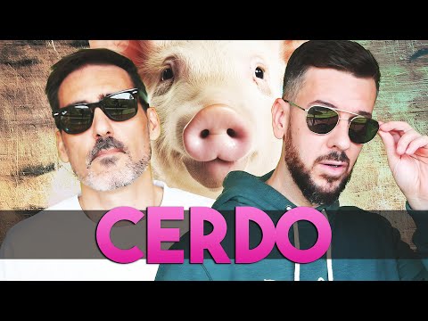 , title : 'CERDO 🐷 | Nebulossa - ZORRA (Parodia) | EUROVISIÓN | Los Meconios'