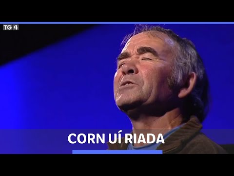 Stiofán Ó Cualáin - An Spailpín Fánach | Corn Uí Riada 2010 | Sean-Nós TG4