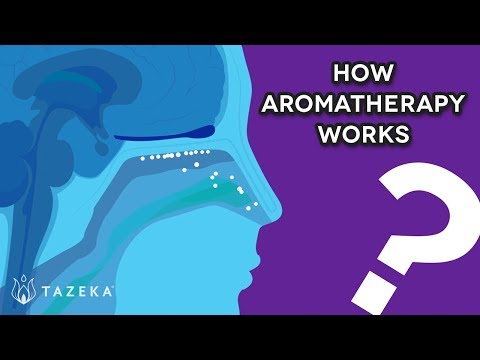 How Aromatherapy Works