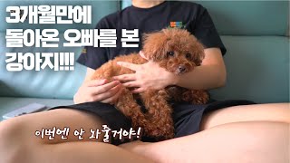 기숙사 간 오빠를 몇달 동안 기다리더니 오빠가 돌아오자 ...
