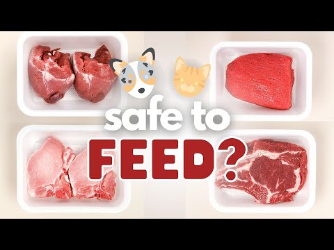 Is Raw Grocery Store Meat Safe For Your Pet?