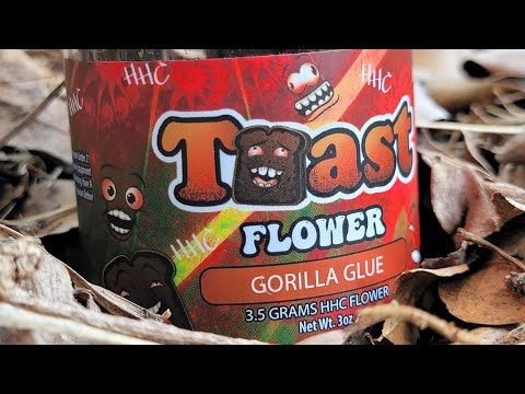 Rezension von Toast Gorilla Glue HHC Flower